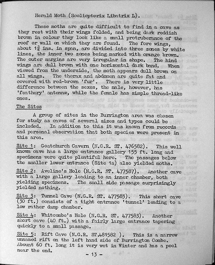 Page 13.jpg
